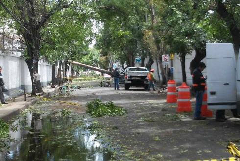 Retiran Alrededor De Rboles Y Espectaculares Ca Dos Por Viento