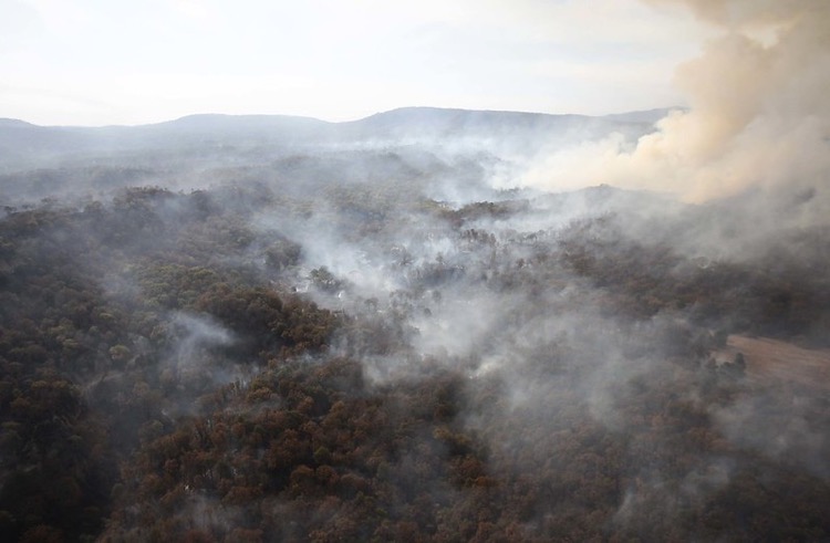 Reportan Incendios Forestales Activos En M Xico Ntr Guadalajara