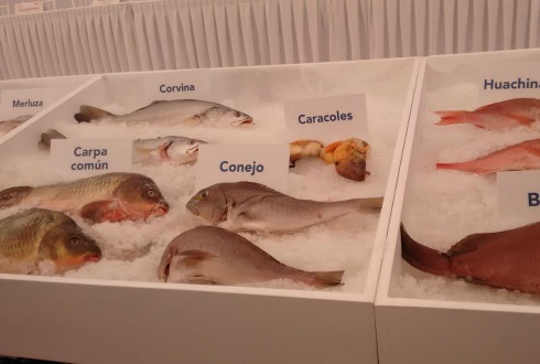 Garantizan abasto de pescados y mariscos | NTR Guadalajara