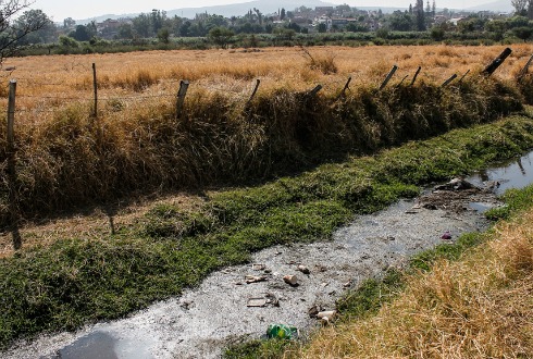 CONTAMINADO. Al cauce acuden animales domésticos a bañarse y saciar su sed. (Foto: Grisel Pajarito)