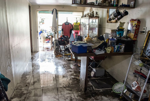 200 árboles tirados y 19 casas inundadas por lluvias | NTR Guadalajara