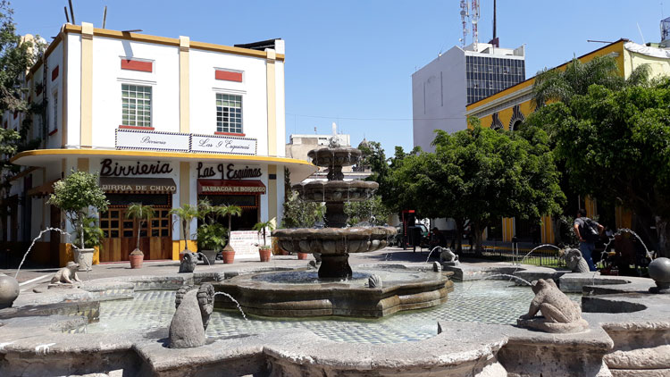 Para tradición, las Nueve Esquinas | NTR Guadalajara