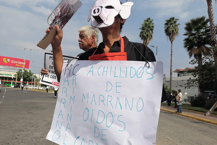 Protestan contra implementación del Escuadrón Verde
