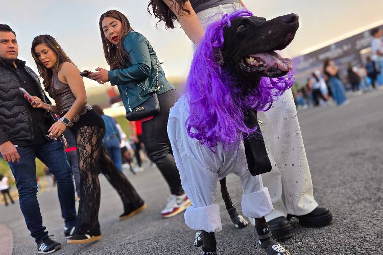 El público disfrutó cada minuto del concierto de la colombiana. (Fotos: Cortesía Luis Gómez Sandi)