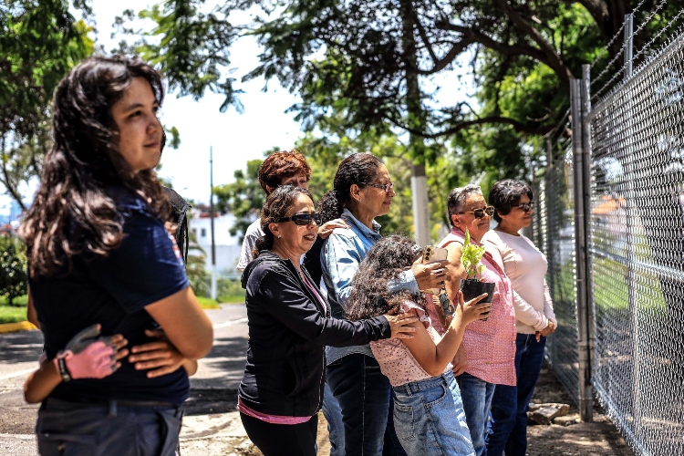 Sembrar un ecosistema