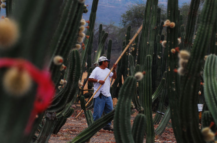 (Foto: Humberto Muñiz)