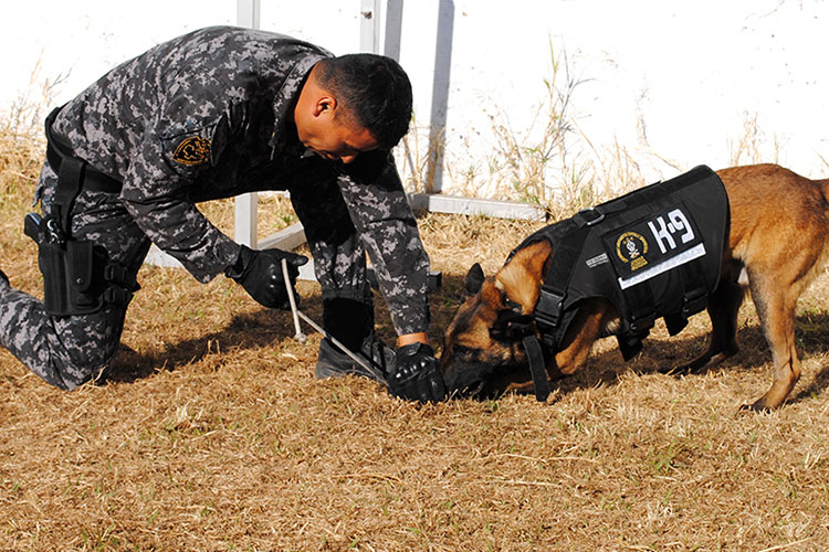 Unidad canina de fiscalía conformada por perros adoptados